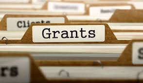 Penalties for overclaimed SEISS Grants